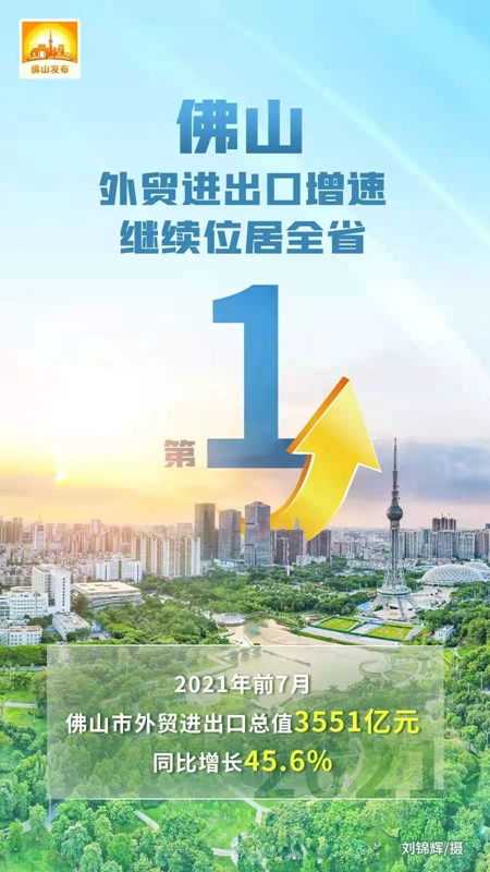 佛山表贸进出口增快全省第一