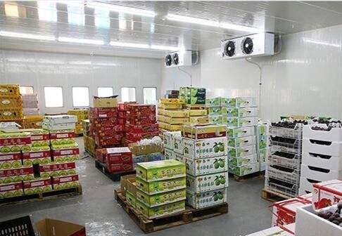 食品能够入驻第三方仓库吗？必要把稳什么？