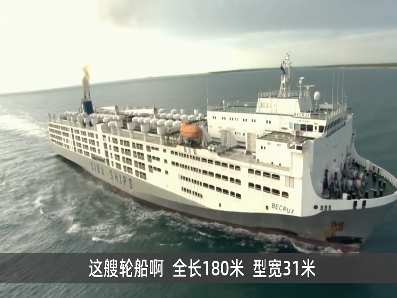 业务全球化，若何一次海运16000头活牛？