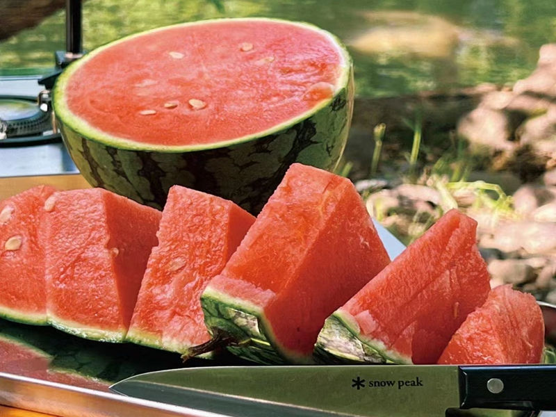 佛山仓库出租：夏季经济到了，那些行业好做？